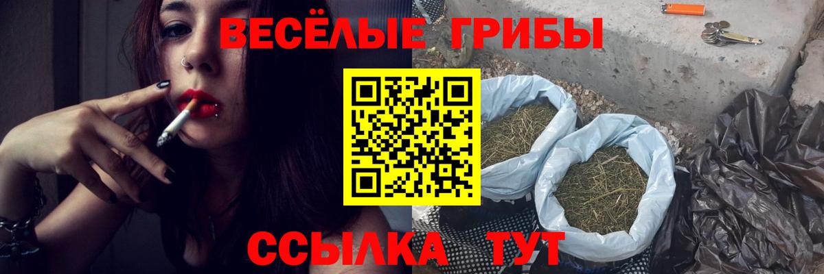 Псилоцибиновые грибы Psilocybe  Вход с VPN  Северск  Псилоцибиновые грибы Psilocybe 