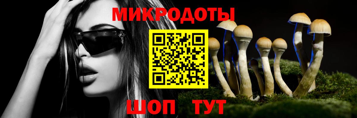 Галлюциногенные грибы Cubensis Северск